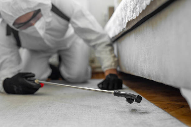Professional Cockroach Control technician working in Harlan, IA