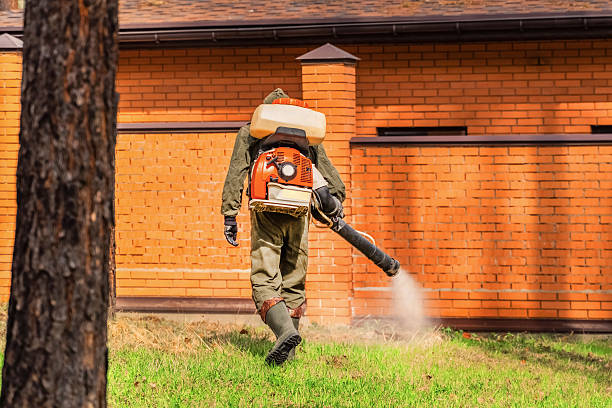Trusted Ant Control service in Harlan, IA - Nex Pest Control